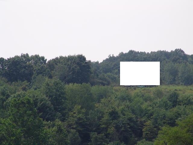 Photo of a billboard in Derwent