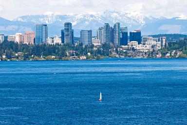 Bellevue Washington taxi ads