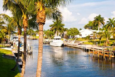 Cape Coral Florida transit ads