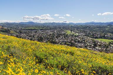 Thousand Oaks California TV ads