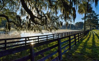 Ocala Florida billboards