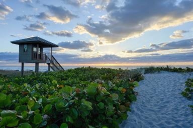 Delray Beach Florida taxi ads
